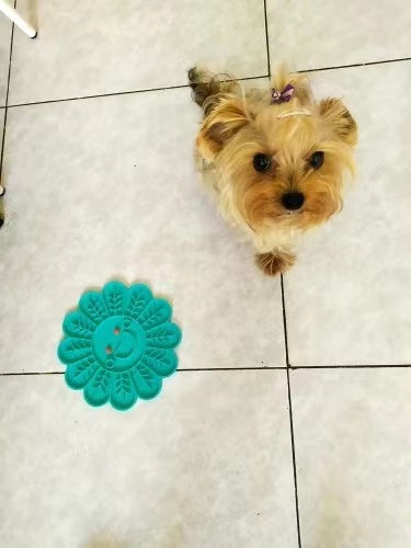 Fish Shape Silicone Bowl Dog Lick Mat Slow Feeding Food Bowl For Small