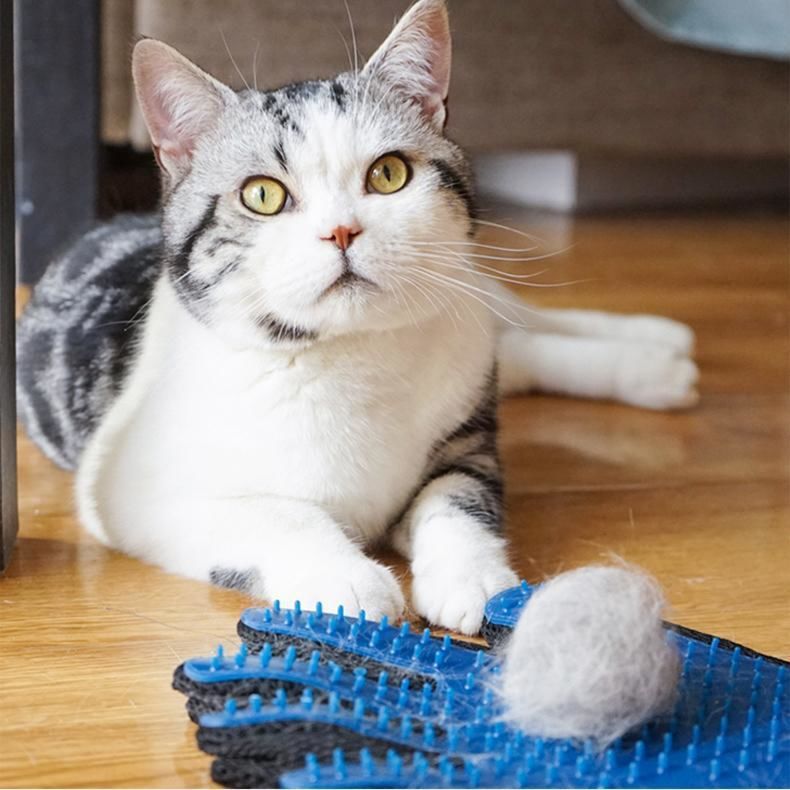 Fur-Free Bliss: Pet Grooming Gloves for Shedding, Massage, and Coat Care