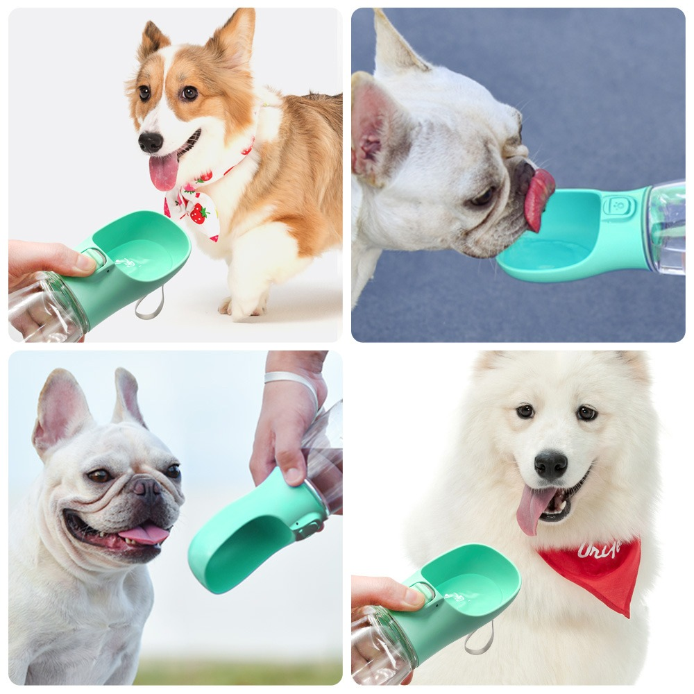 Portable Pet Water Bottle β Hydration On the Go!