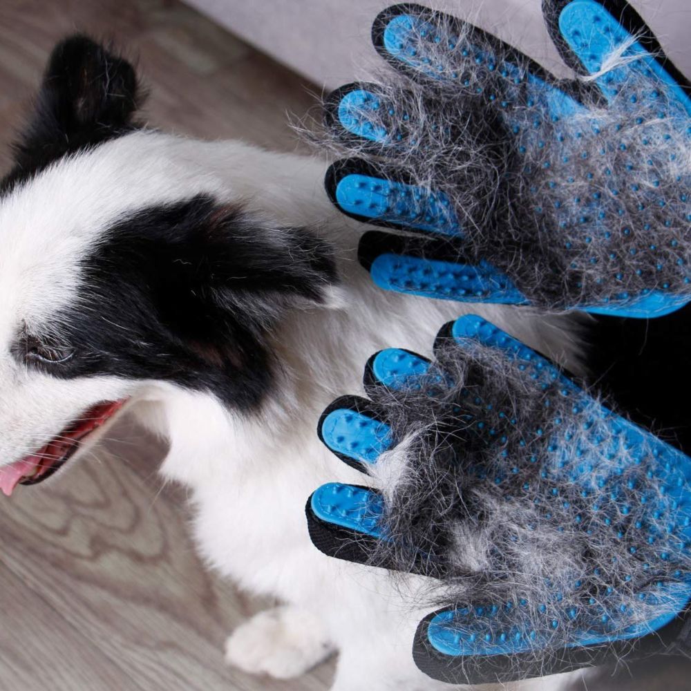 Fur-Free Bliss: Pet Grooming Gloves for Shedding, Massage, and Coat Care