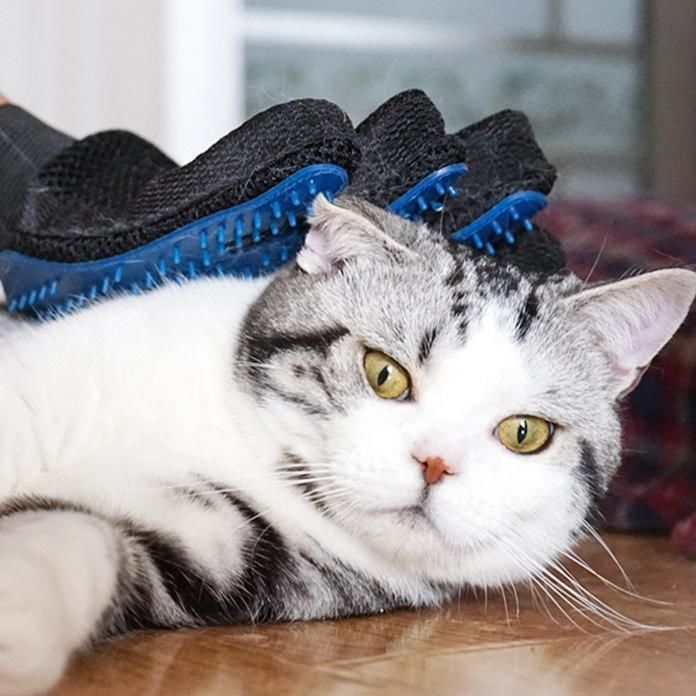 Fur-Free Bliss: Pet Grooming Gloves for Shedding, Massage, and Coat Care