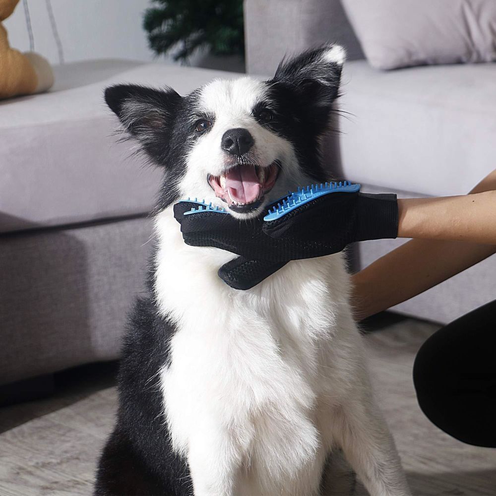 Fur-Free Bliss: Pet Grooming Gloves for Shedding, Massage, and Coat Care